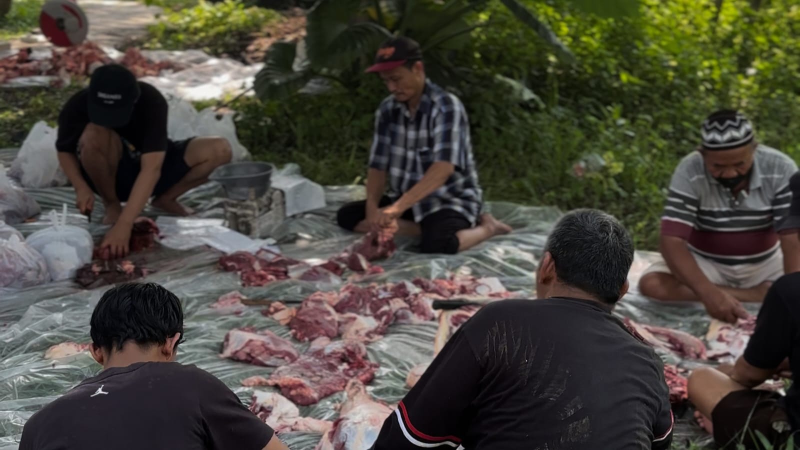 PC LDII Kemantren Wirobrajan, Kota Yogyakarta, menggelar kegiatan penyembelihan hewan qurban pada Idul Adha 1446 H.